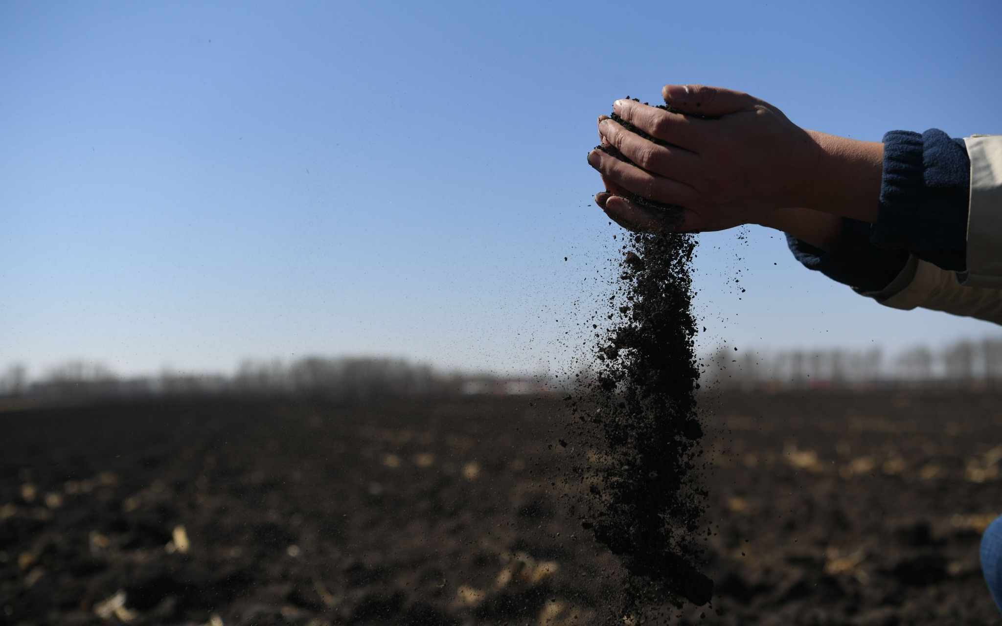 年终特稿丨2021充满艰辛与温暖2022乡村仍是诗和远方