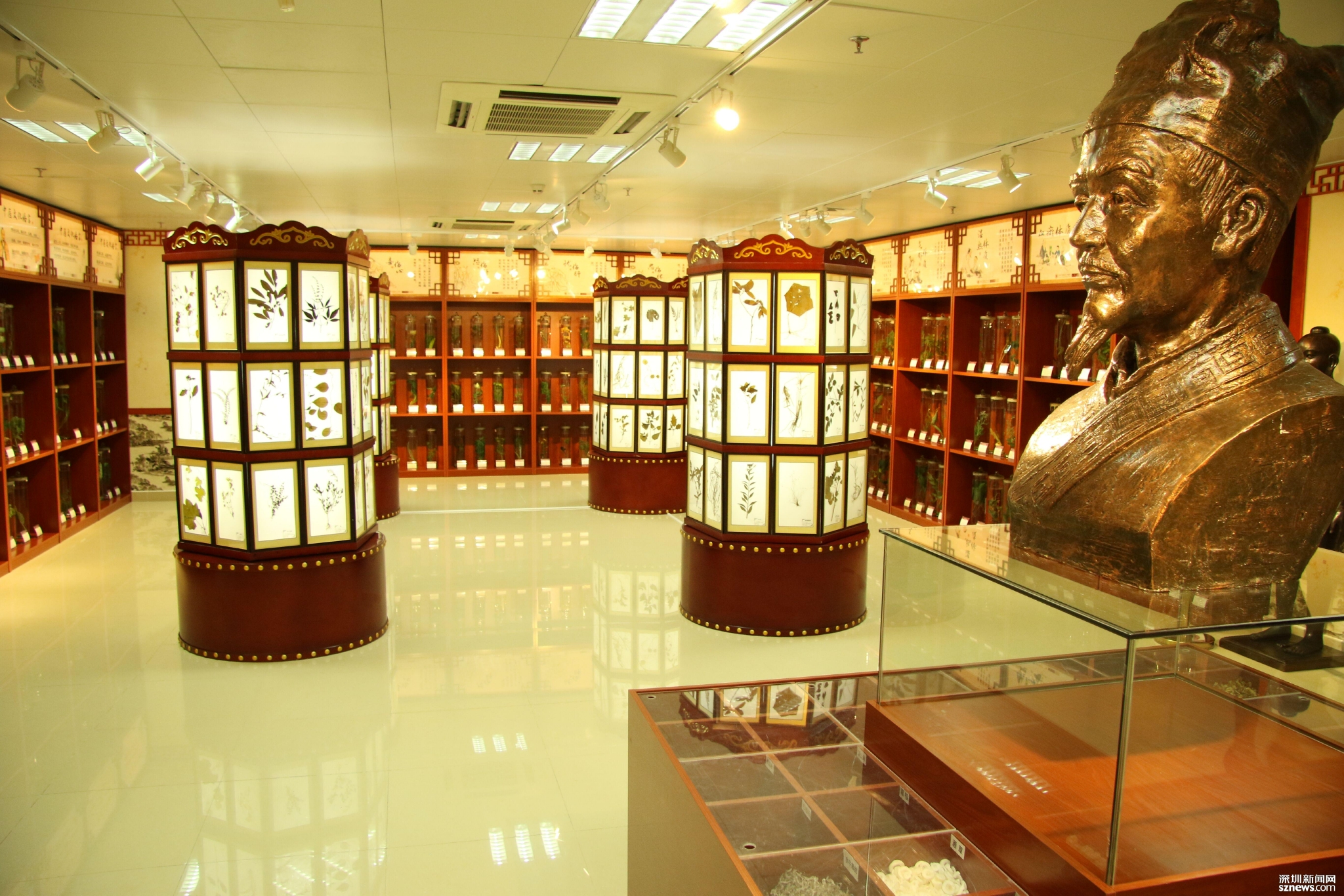 深圳中医药博物馆致力于传播中医药文化的深圳中医药博物馆假期开放