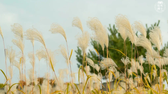 跨年倒计时：你的朋友圈文案想好了吗？休闲区蓝鸢梦想 - Www.slyday.coM