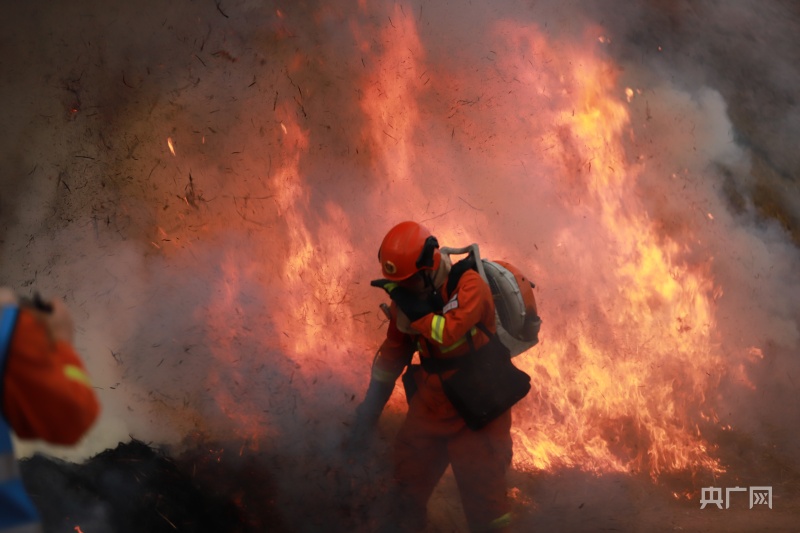 图为森林消防员鏖战火魔(央广网发 李袁辉摄)