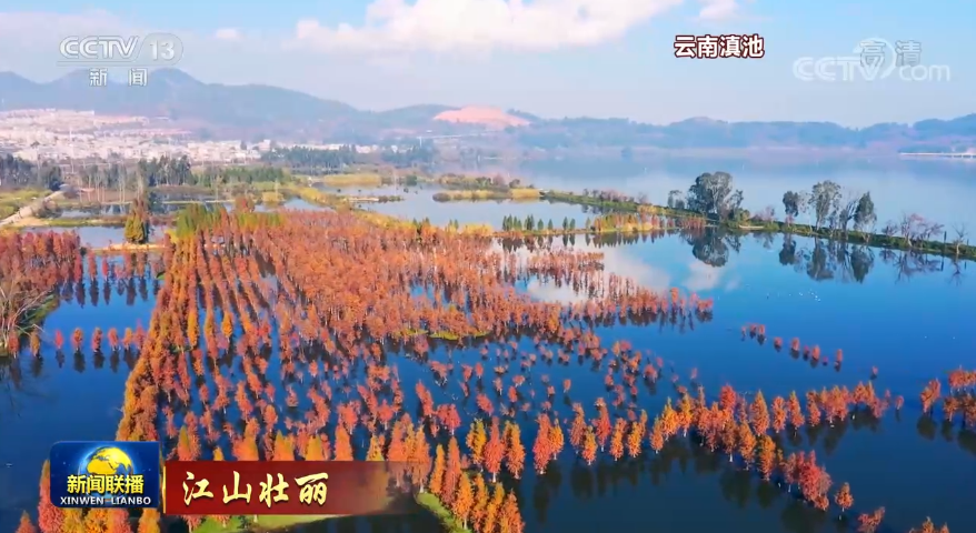 12月31日《新闻联播》节目主要内容休闲区蓝鸢梦想 - Www.slyday.coM