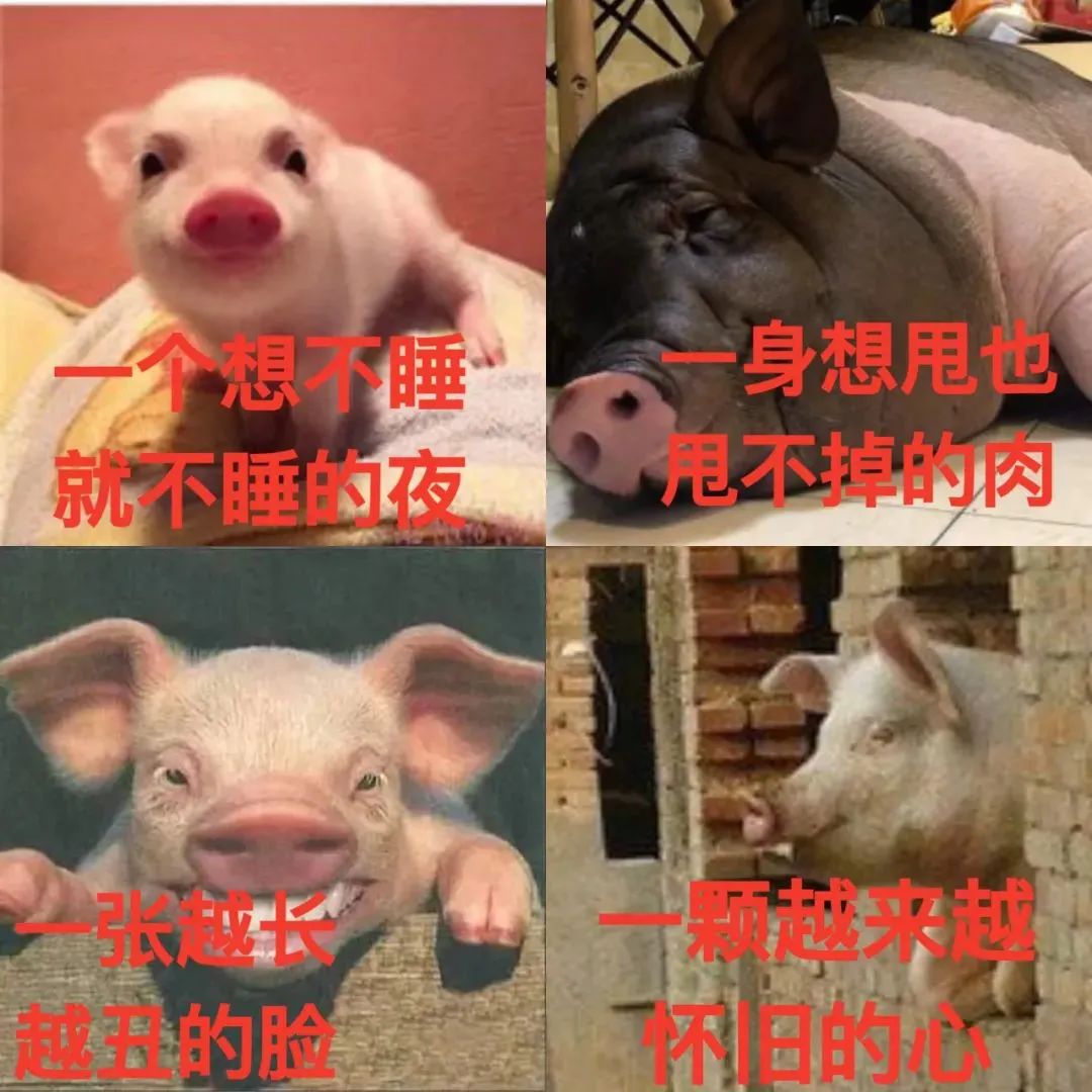 一位妈妈的2021「年终总结」刷屏，是我本人了，哈哈哈哈哈休闲区蓝鸢梦想 - Www.slyday.coM