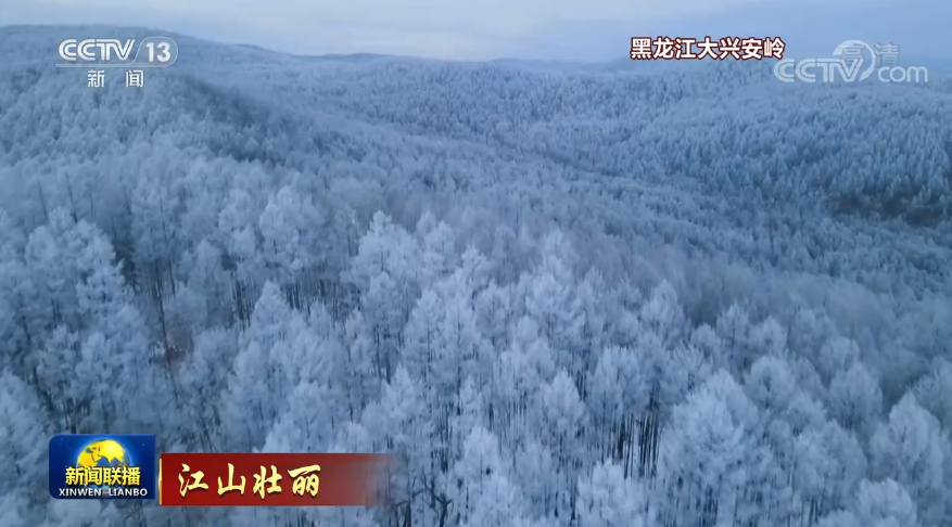 12月31日《新闻联播》节目主要内容休闲区蓝鸢梦想 - Www.slyday.coM