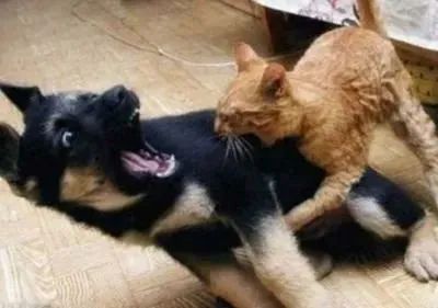 一位妈妈的2021「年终总结」刷屏，是我本人了，哈哈哈哈哈休闲区蓝鸢梦想 - Www.slyday.coM