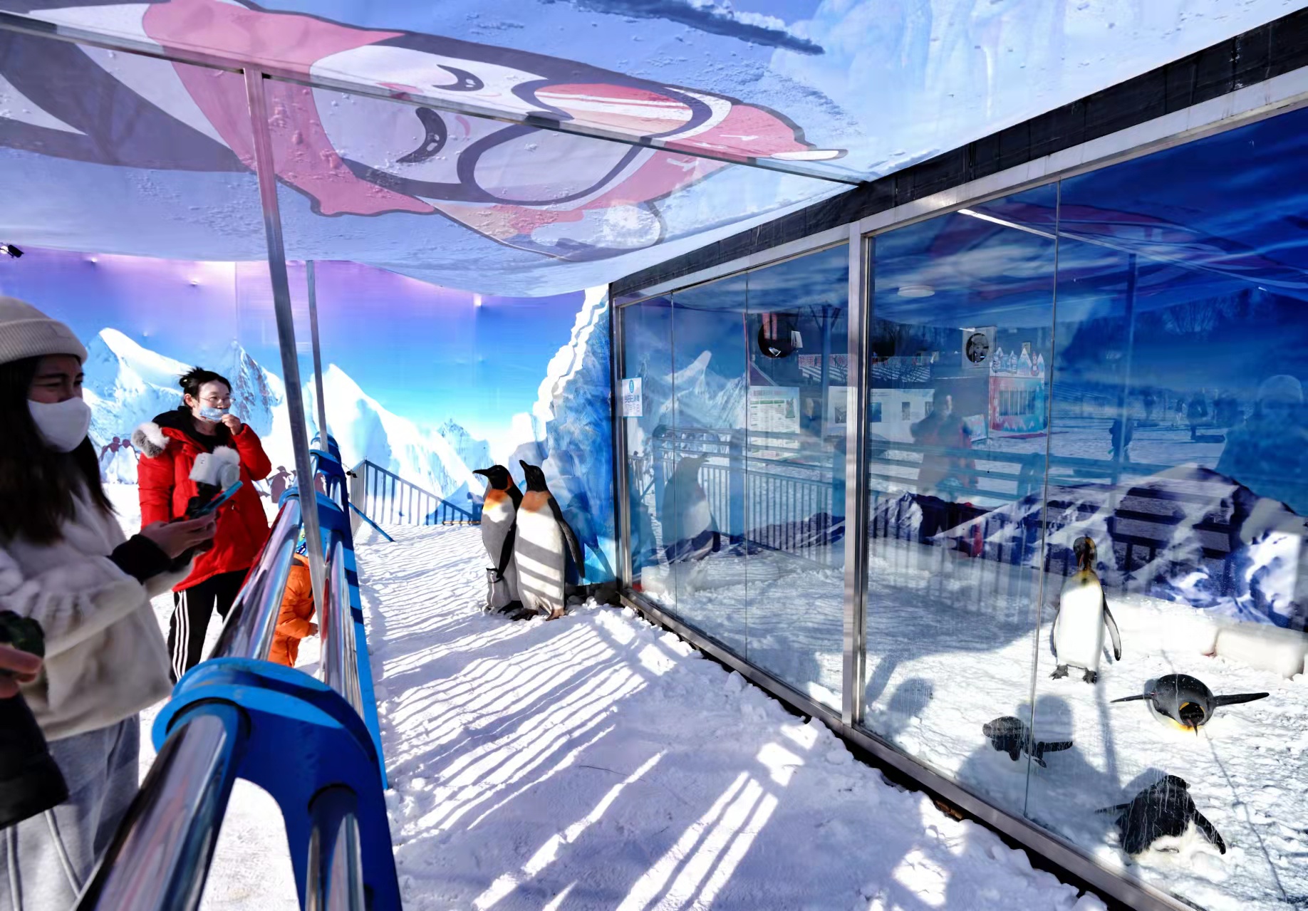 冰雪游园会开幕陶然亭紫竹院玉渊潭公园雪场开放迎新年