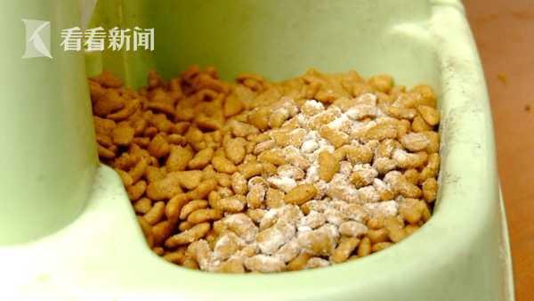 猫粮里投毒！女子毒死小区5只流浪猫 家人：害她得了皮肤病休闲区蓝鸢梦想 - Www.slyday.coM