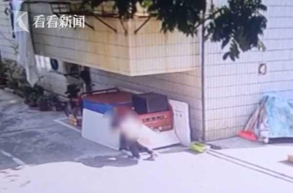 猫粮里投毒！女子毒死小区5只流浪猫 家人：害她得了皮肤病休闲区蓝鸢梦想 - Www.slyday.coM