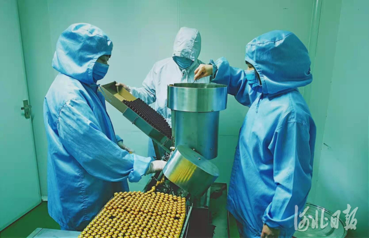 石家庄市第五医院中药制剂人员正在制备治疗新冠肺炎的中药制剂.