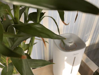 坚持早起60天后,我收获的不只是健康休闲区蓝鸢梦想 - Www.slyday.coM 坚持早起60天后,我收获的不只是健康休闲区蓝鸢梦想 - Www.slyday.coM