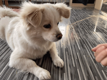 坚持早起60天后,我收获的不只是健康休闲区蓝鸢梦想 - Www.slyday.coM 坚持早起60天后,我收获的不只是健康休闲区蓝鸢梦想 - Www.slyday.coM