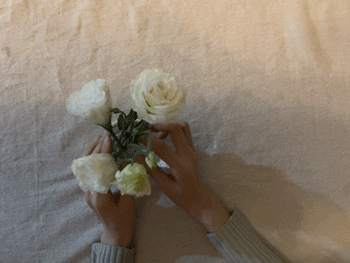 坚持早起60天后,我收获的不只是健康休闲区蓝鸢梦想 - Www.slyday.coM 坚持早起60天后,我收获的不只是健康休闲区蓝鸢梦想 - Www.slyday.coM