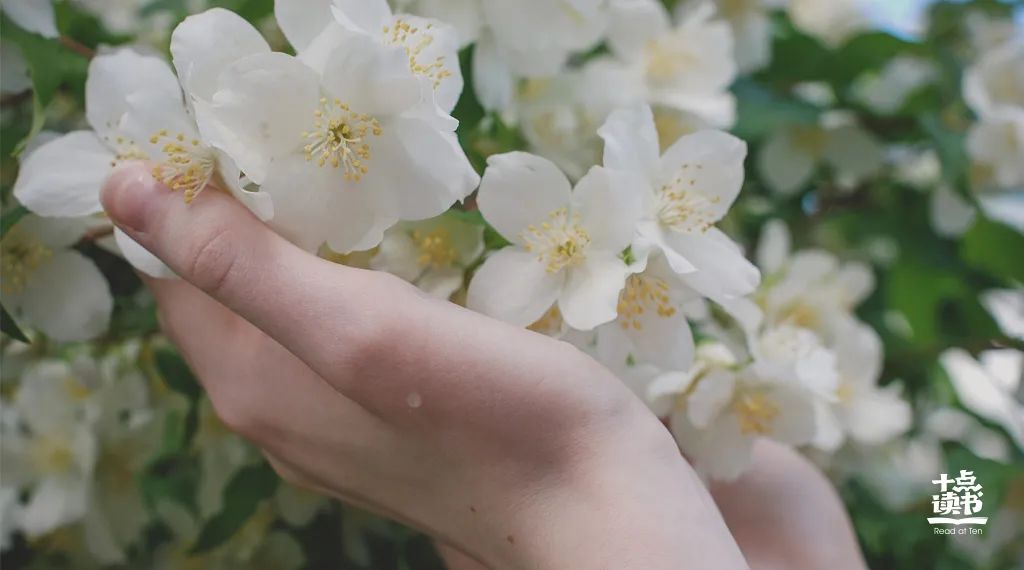 坚持早起60天后,我收获的不只是健康休闲区蓝鸢梦想 - Www.slyday.coM 坚持早起60天后,我收获的不只是健康休闲区蓝鸢梦想 - Www.slyday.coM