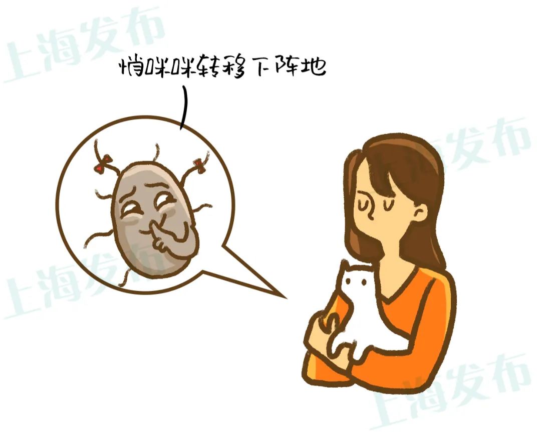 医聊宠物寄生虫是如何让人类生病的虫虫有话说