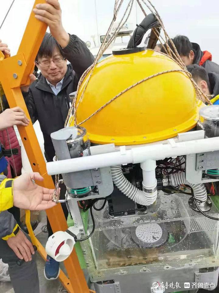 山建教授发明海参捕捞"神器",带人工智能的"章鱼"专门逮海参|机器人