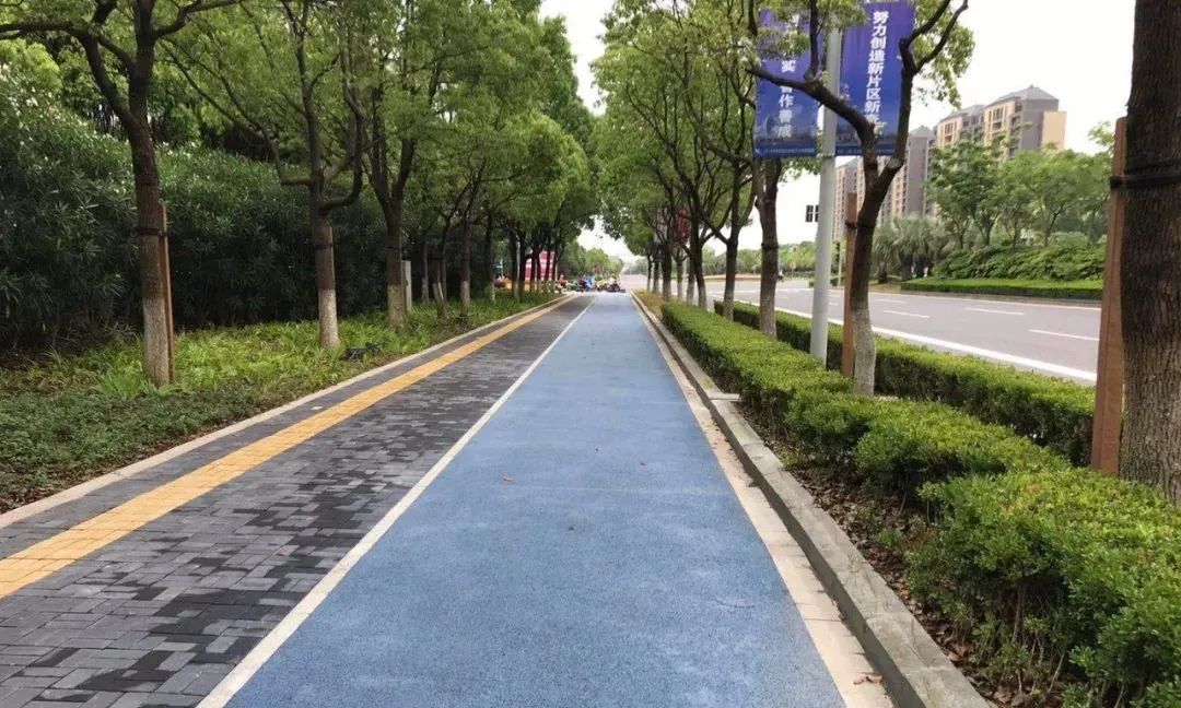 交通全长188公里临港新片区这5条道路非机动车道完成改造