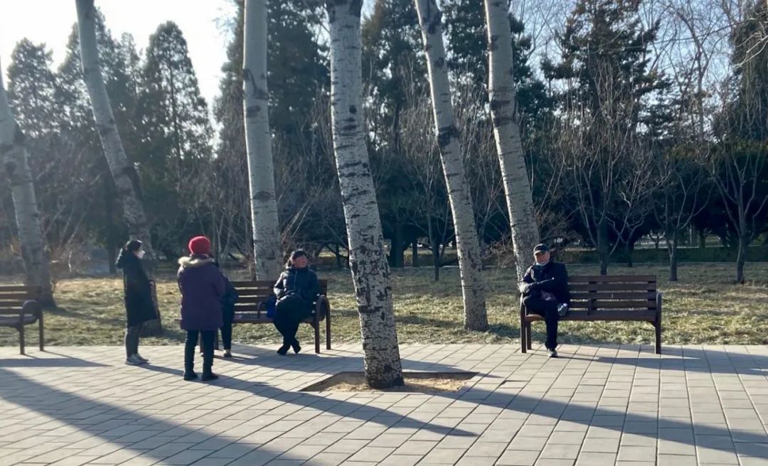 老人在天坛公园长椅上保持社交距离聊天 本报记者陈之殷摄