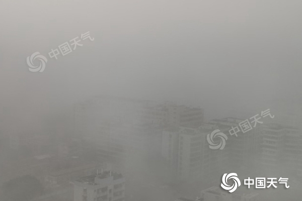 昨天广东雷州现大雾天气。（林建馨摄）