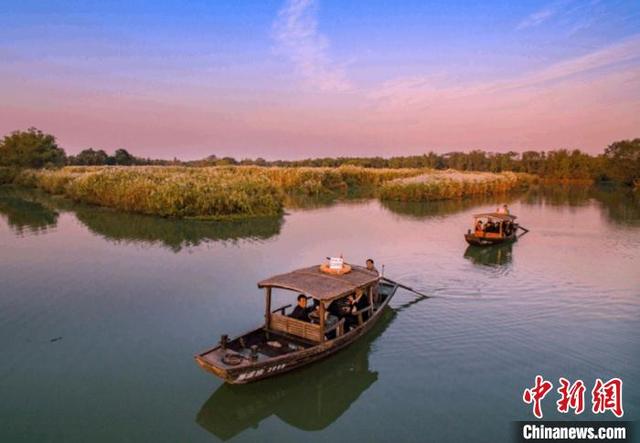 图为西溪湿地网红"摇摇锅"(西溪摇橹船上吃火锅) 西湖西溪景区供图 摄