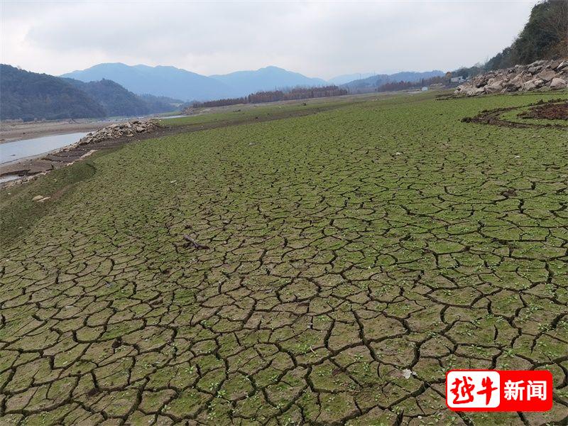 汤浦水库入库口已露出大片河床。越牛新闻记者 严竹萍/摄