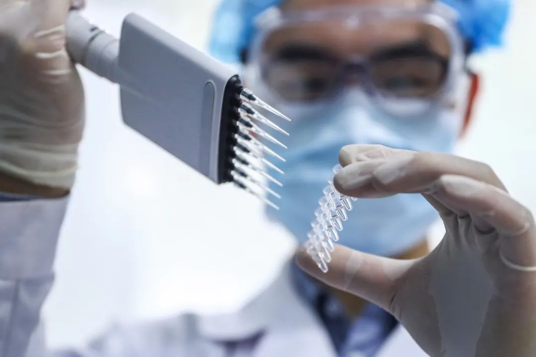 工作人员在国药集团中国生物新冠疫苗生产基地质量检定部门对新型冠状病毒灭活疫苗样品进行杂质检测。（2020年4月11日摄）记者 张玉薇 摄