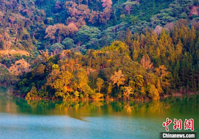 资料图:海南森林资源丰富,风光秀美.吴天军摄