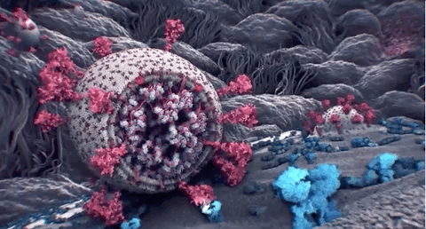 △图源：清华大学