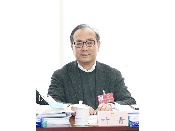 市人大代表叶青