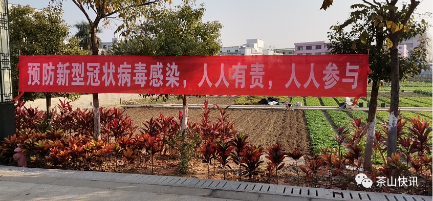 茶山全方位做好疫情防控宣传工作!|新冠肺炎_新浪新闻