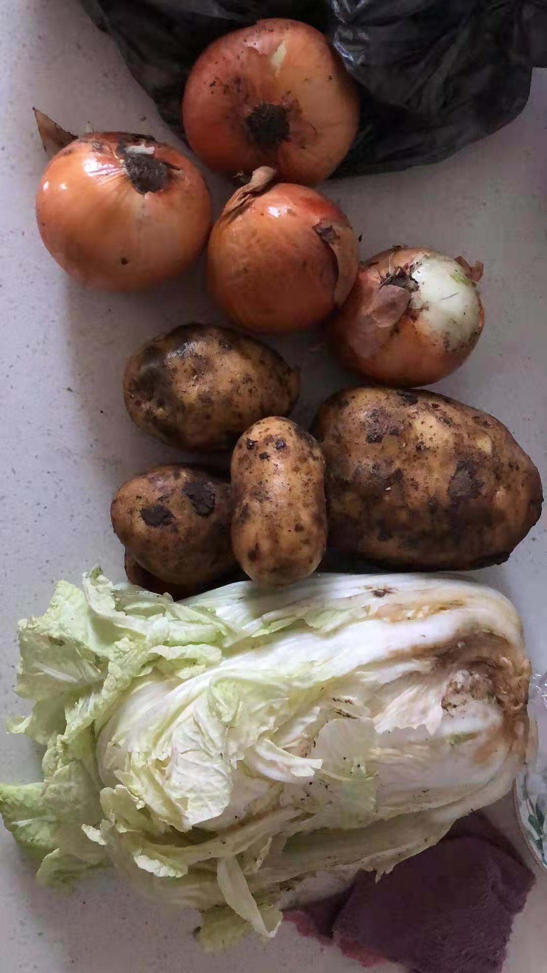 吉林通化封闭管理第一周派发11万余个蔬菜包新增多个网购平台