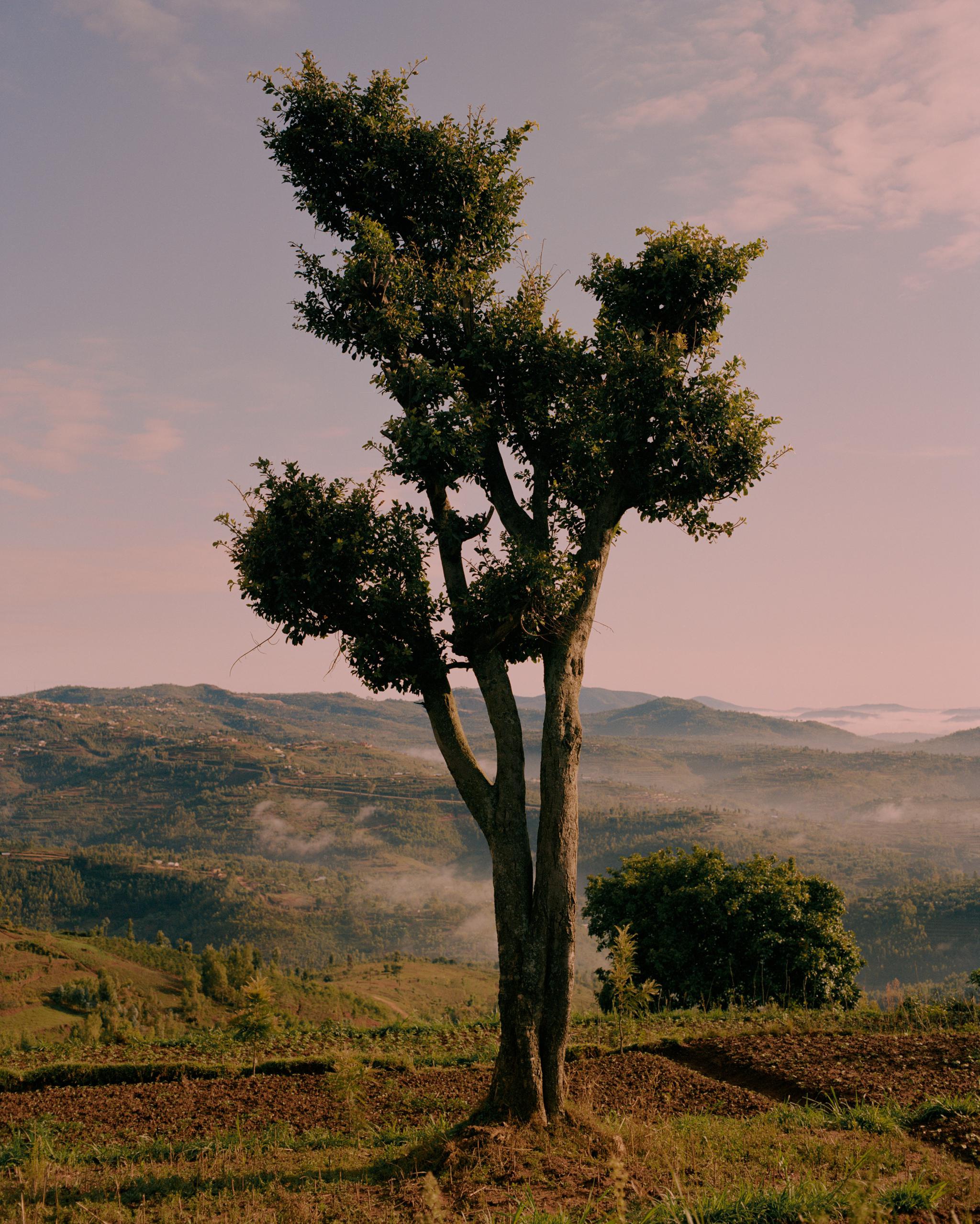 △卢旺达南部高地的吉特瓦村。© WaterAid/ People