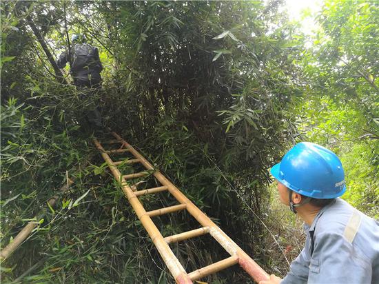 正文  钻树林,跨草丛,披荆斩棘.