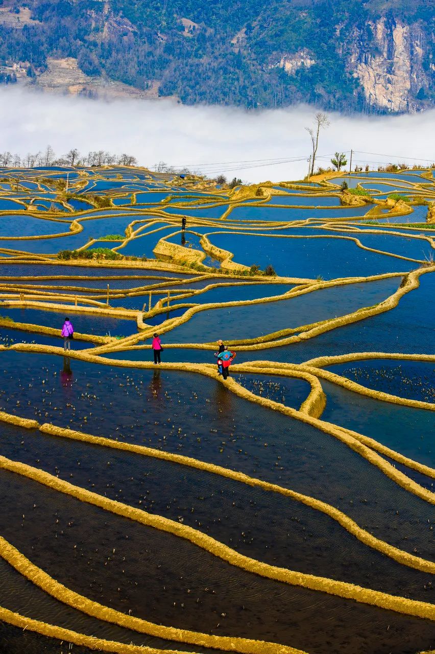 千年古梯田焕发新生机人民日报整版报道红河州多策并举力促哈尼梯田