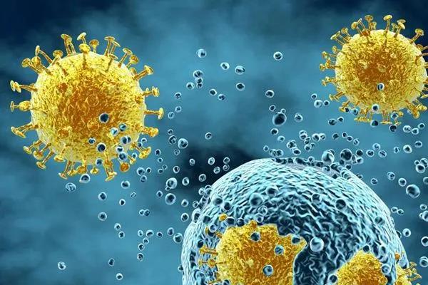 国内首现变异病毒感染病例,无需恐慌但也别轻视|新冠肺炎_新浪新闻