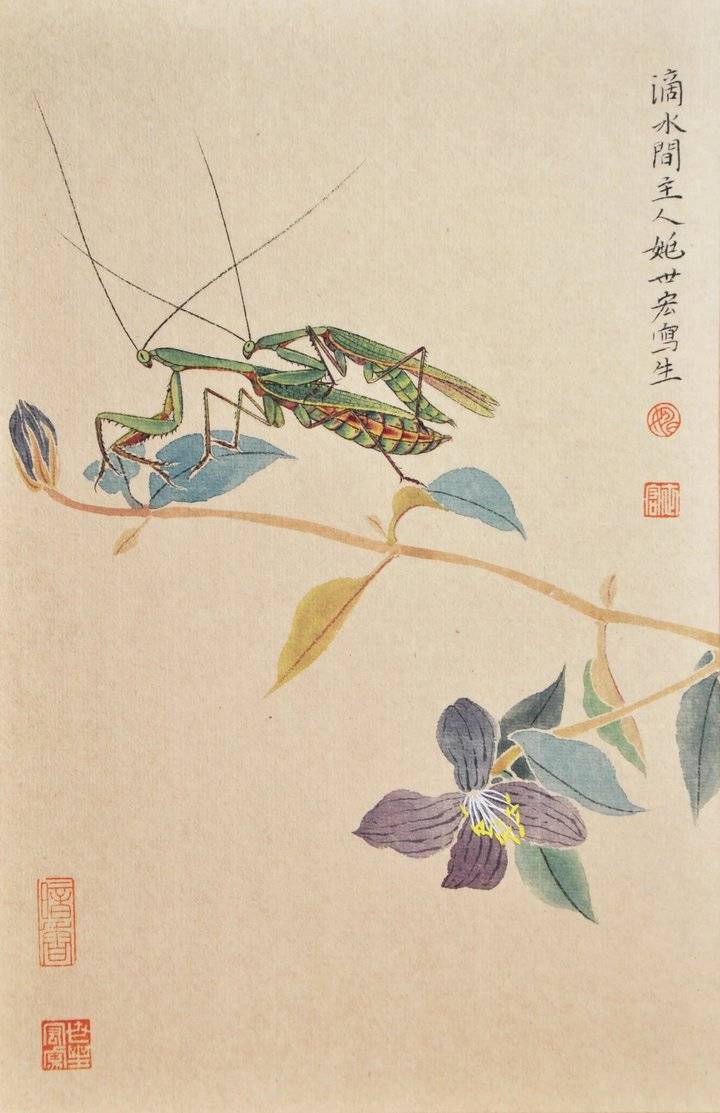细闻如天籁读姚世宏的国画草虫近作