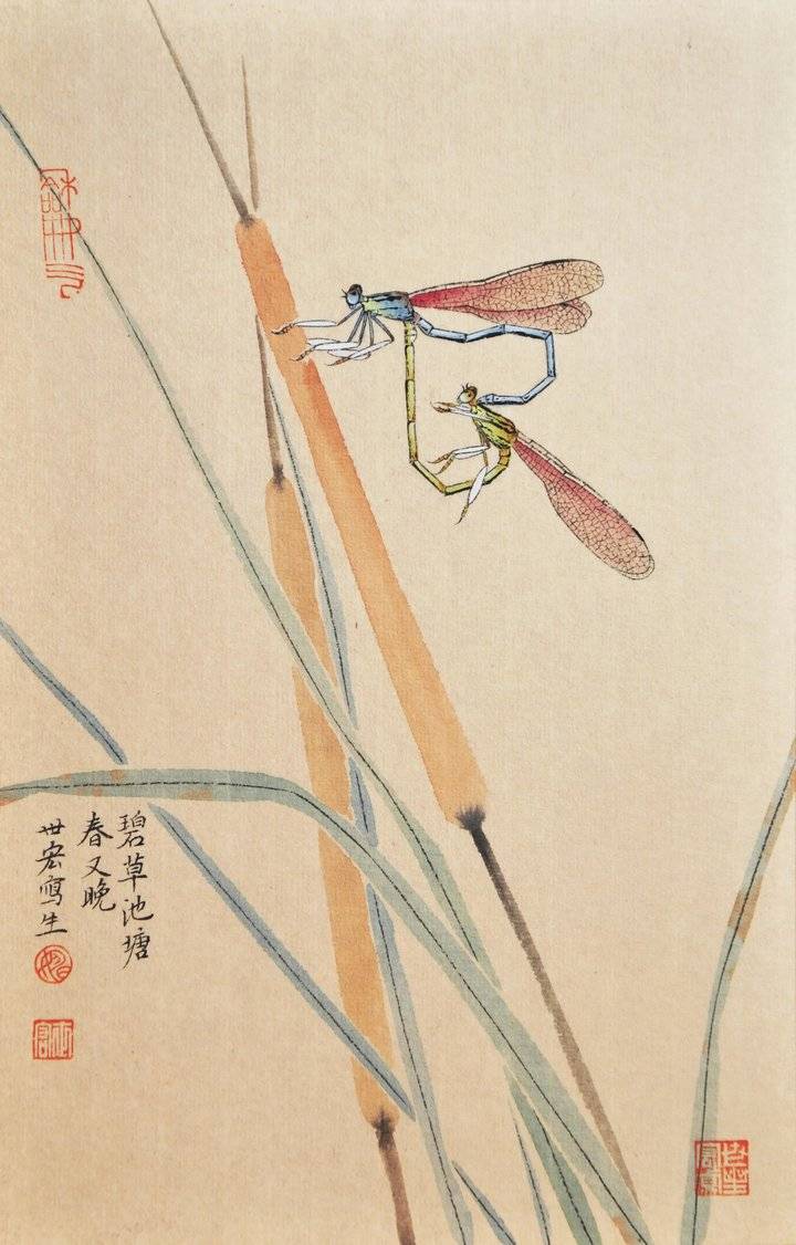 细闻如天籁读姚世宏的国画草虫近作