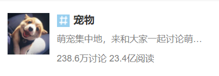 萌宠也陷看病难、看病贵！“铲屎官”请收好这份指南