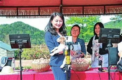 安徽太湖县副县长唐翔直播