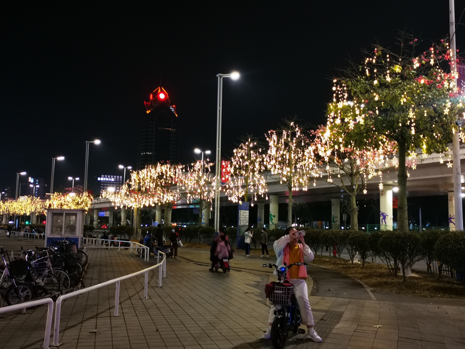 广州番禺:城市灯饰喜迎春,璀璨夺目饰禺城