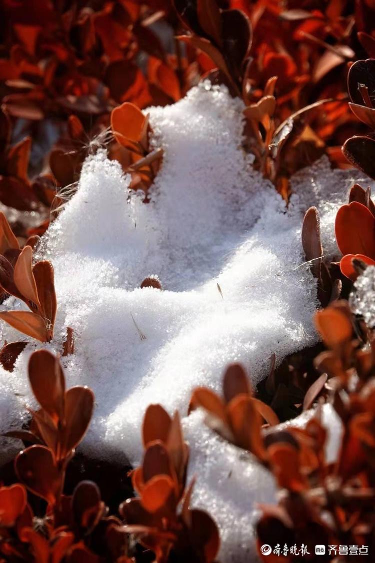 随着温度的回升残雪在慢慢融化