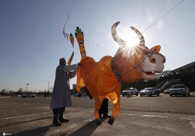 韩国民众放飞"牛"风筝