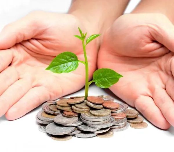 反剽窃公益基金是否可行？专家：最核心的是公益初心