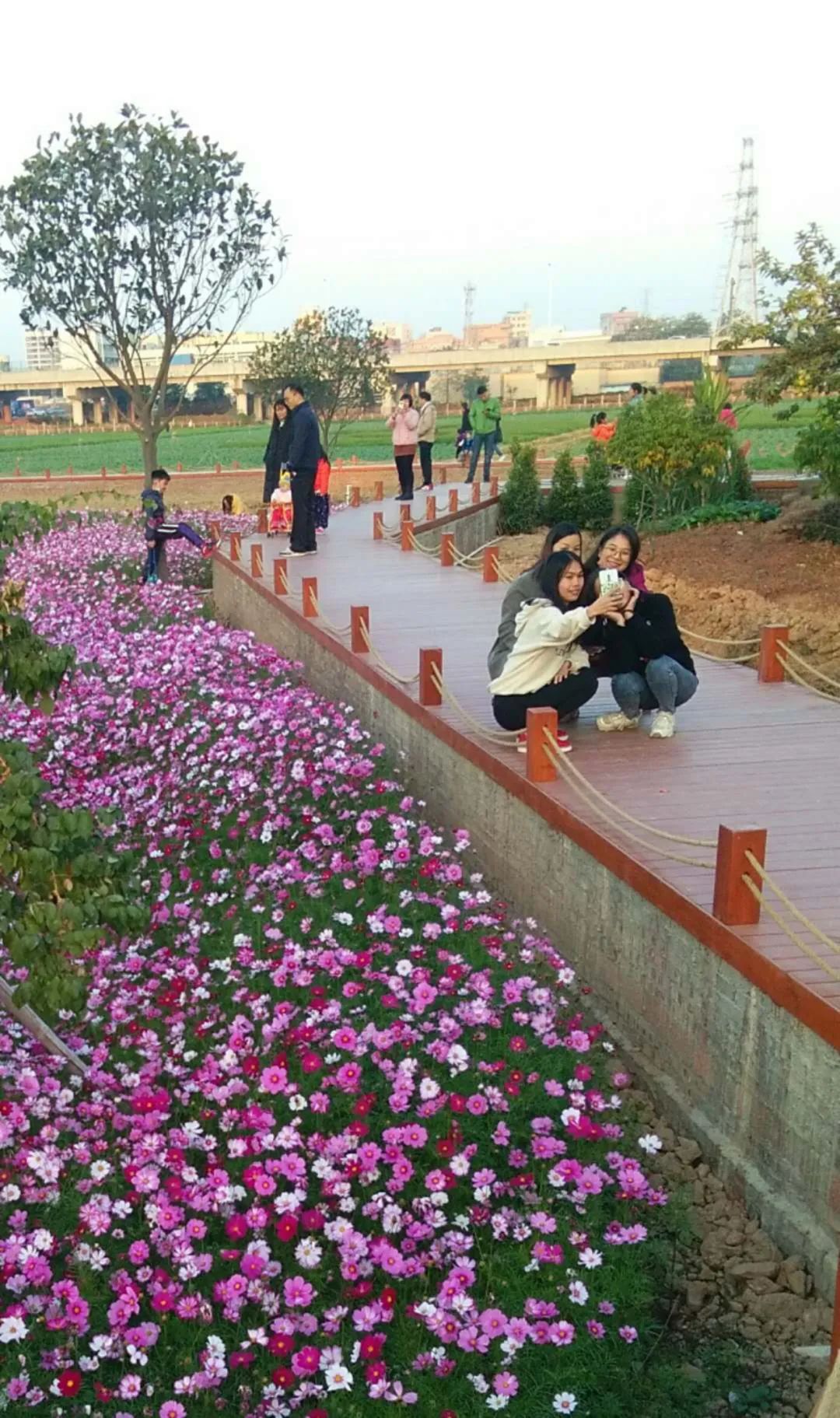 ▼  横沥村头村