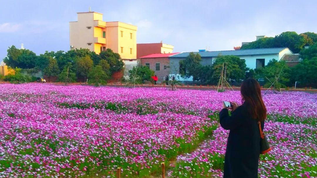 幸福,遇见你▼横沥村头村-地址-东莞市横沥镇村头村村民委员会来源
