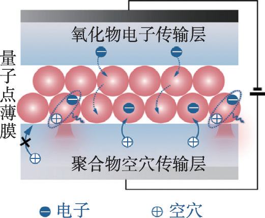 量子点电致发光的黎明|量子_新浪新闻