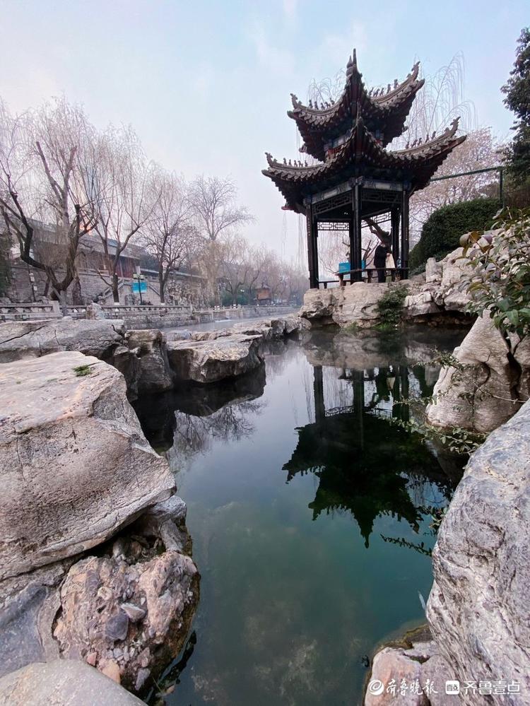 情报站|泉水如镜清澈透明,冬天的济南黑虎泉水藻如翠美了冬天