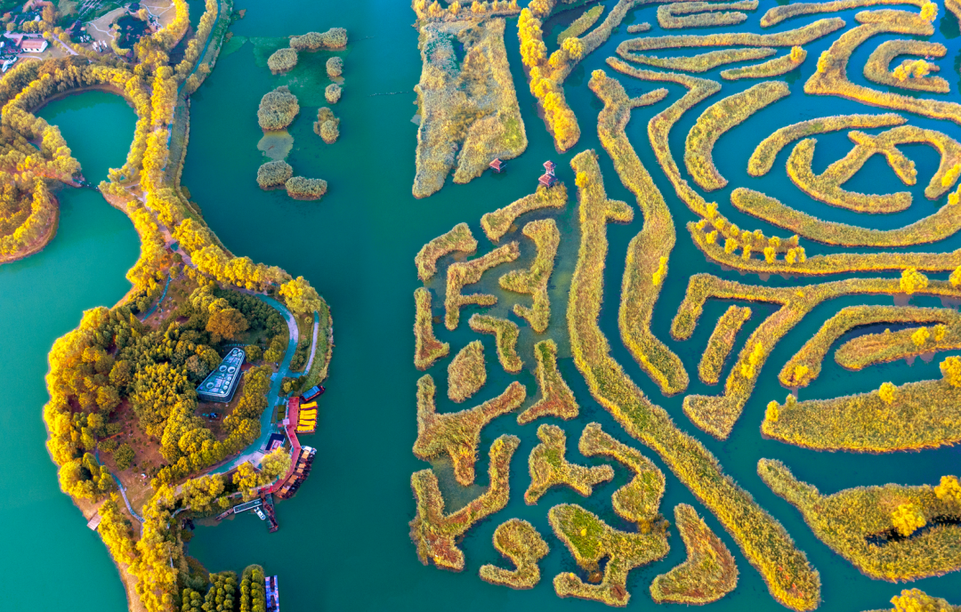 船游芦荡迷宫游览时间08:00——17:00地点盐城大纵湖景区渔姑码头柳堡