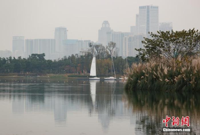 资料图：成都一公园内草木葱郁，湖水荡漾。中新社记者 杜洋 摄