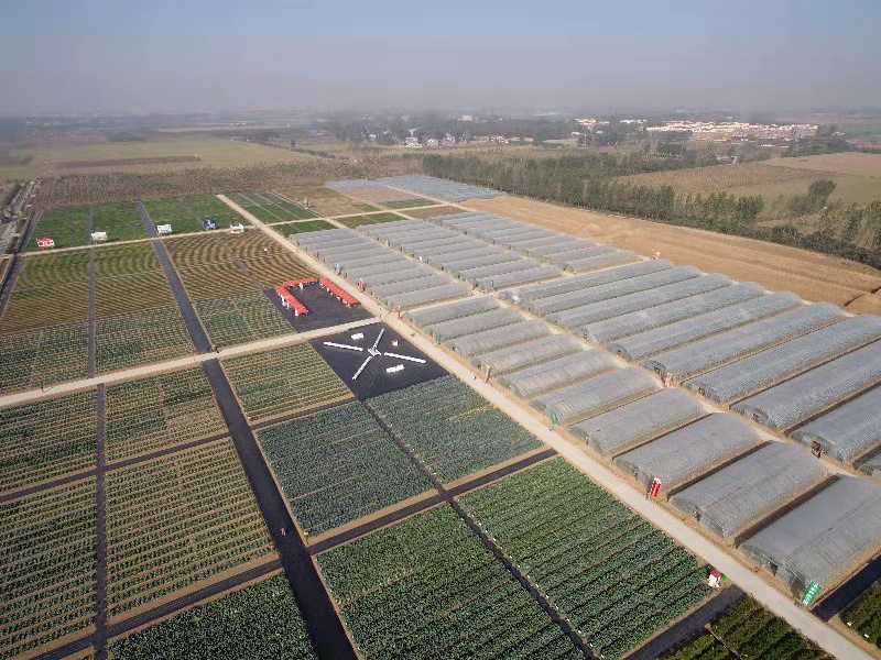 种业小镇赋能农业强"芯"