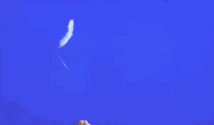 420_245gif 动态图 动图