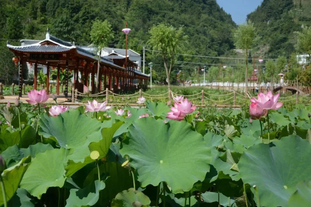 观峰村风景 图:重庆巫溪
